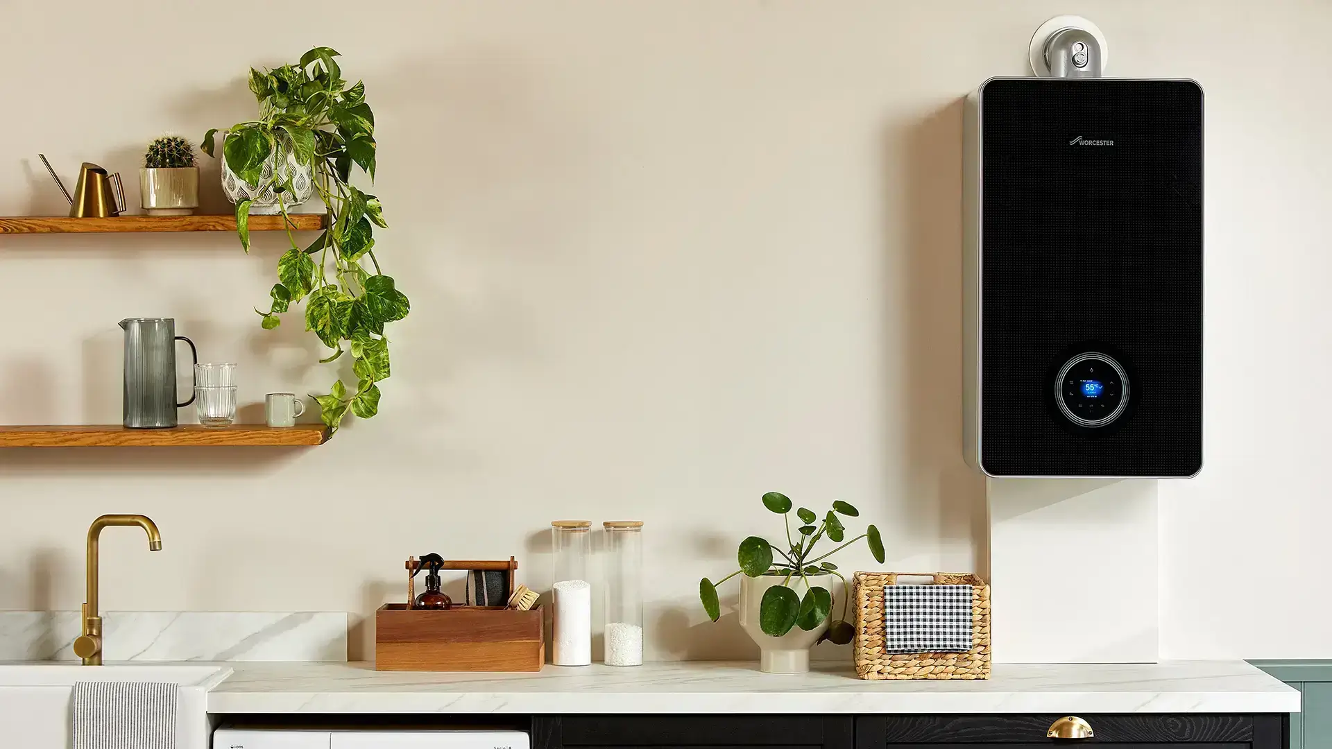Modern kitchen with boiler and plants